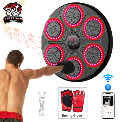 Smart Boxing Trainer Pro Edition